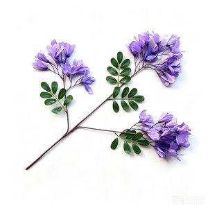 Rama de Jacaranda Artificial Simulada de 62cm, Color Morado, para Decoración del Hogar y Bodas - Product Image 4