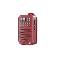 Radio portable haute puissance D-22 pour personnes âgées avec batterie au lithium, lecteur de carte et fonction d'enregistrement pour appels professionnels
