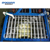 Machine à glaçons en bloc à réfrigération directe de 5 tonnes, à économie d'énergie et de haute qualité, fabricant de glace célèbre en Chine