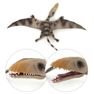 Modelo de Dinosaurio de Simulación, Criolophosaurus, Pterosaurio, <span class=keywords><strong>Saichania</strong></span>, Hatzegopteryx, Adorno Decorativo Sólido, Juguete - Product Image 5
