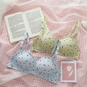 Sujetador con Compresión para <span class=keywords><strong>Senos</strong></span> Pequeños para Prevenir la Flacidez y Reducir la Masa Mamaria Adicional - Product Image 4