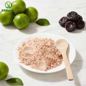 Poudre d'assaisonnement aux pruneaux séchés sucrés et acidulés, saveur optimale, mélange d'épices, conditionnement en vrac de 20 kg pour aliments frits, prix de gros - Product Image 2
