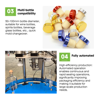 Machine de capsulage et de scellage automatique pour bouteilles de vin avec bouchons en T, entièrement automatique