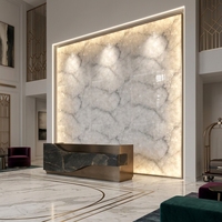 Panneau mural décoratif en silicium cristallin, panneau mural translucide rétroéclairé pour mur TV et intérieur de hall d'hôtel