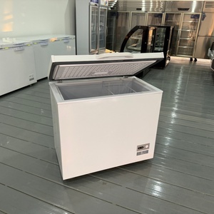<span class=keywords><strong>Congélateur</strong></span> <span class=keywords><strong>horizontal</strong></span> commercial de bonne qualité, petit et profond - Product Image 5