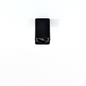 Monté en Surface 1L 2L Réglable 30 Degrés Cardan Vers Le Bas Lumières IP65 Extérieur Étanche <span class=keywords><strong>Spot</strong></span> Lumières pour Hôtel Porte Chambre Éclairage - Product Image 5