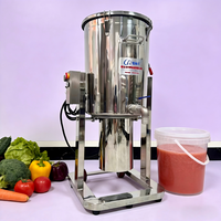 Industriële 304 roestvrijstalen fruit- en groentepulpmachine voor het maken van jam, puree, gember-, wortel- en tomatenverwerking