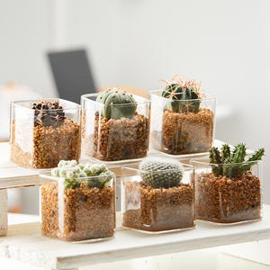Jardinières sans terre pour plantes succulentes, bouteilles en verre transparent, ornements mignons pour la plantation et l'aromathérapie, pots carrés de contrôle - Product Image 1