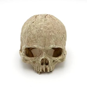 Aquariumdecoratie van hars, schedelvormig, voor vissen en garnalen, schuilplaats, decoratie van hars - Product Image 1
