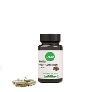 ISO 공장 직접 버섯 가루 터키 꼬리 버섯 추출물 윤지 분말 - Product Image 1