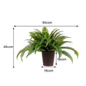 Feraula di Boston Artificiale di Lusso <span class=keywords><strong>in</strong></span> <span class=keywords><strong>Vaso</strong></span> Intrecciato, Pianta <span class=keywords><strong>in</strong></span> Plastica Fatta a Mano per Interni, per Vetrine di Caffetterie e Negozi, Arredamento Moderno per la Casa - Product Image 3