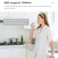 Testeur de qualité de l'eau ORP 169E, potentiel positif et négatif, testeur ORP/Redox, testeur ORP avec boîte de vente au détail
