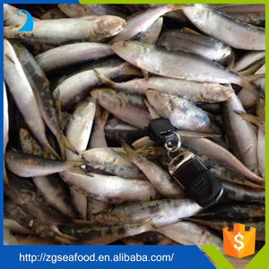 Cá đóng hộp cá mòi đóng hộp trong dầu (trong dầu thực vật) bán buôn cá mòi đóng hộp - Product Image 6