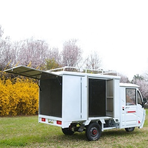 Repuestos para Triciclo Eléctrico de Carga <span class=keywords><strong>con</strong></span> Batería de Litio y Plomo-Ácido, Cabina para Triciclo Eléctrico, Furgoneta Eléctrica Pequeña - Product Image 2
