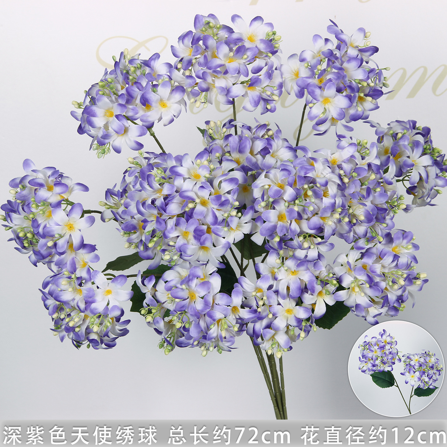 Hortensia ange à deux têtes, violet foncé