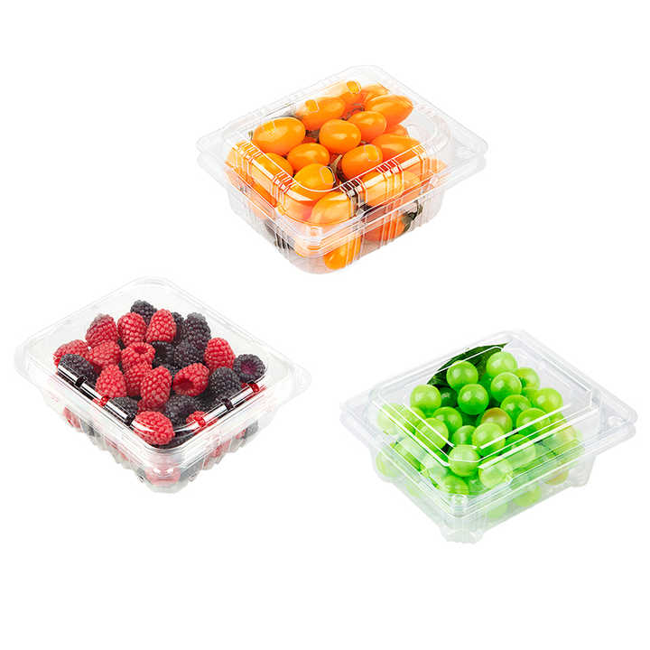 250g Cherry Tomato Blueberry Raspberry Strawberry Packaging Container ...