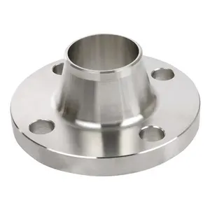 WN/SO/SW/Blind/Plate/Threaded Swivel Flange SS Stainless Steel Flange Pipe Fittings With Polished Surface