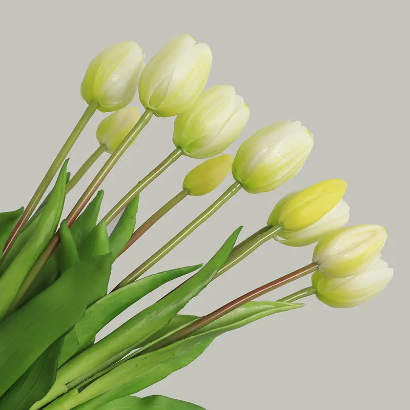 Promoción spanish, Compras online de spanish promocionales, tulipanes  
