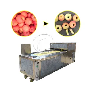 Aprikot Stoner Apple Peach Core mesin penghilang buah pir Corer mesin fitting