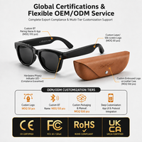 Lunettes Intelligentes OEM M02X Pro Max avec IA, Caméra 13MP, Traduction en Temps Réel, Assistant IA, Vente en Gros Personnalisée