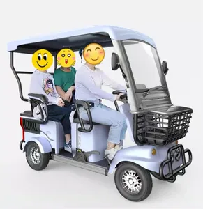 800W48V60V 3 -wheeled New Energy Electric Vehicle With Roof Golf Car Competitive Price