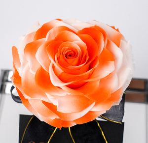 Grandi Rose Stabilizzate in Scatola Acrilica Quadrata Trasparente Solo <span class=keywords><strong>Amore</strong></span> <span class=keywords><strong>per</strong></span> <span class=keywords><strong>Lei</strong></span> <span class=keywords><strong>Regalo</strong></span> di Fiori Stabilizzati - Product Image 6