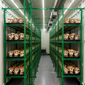 Système de culture écoénergétique à climatisation de qualité, ferme de champignons en conteneurs intérieurs pour une production toute l'année - Product Image 5