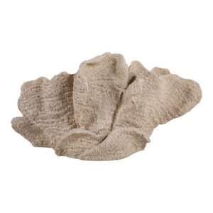 Statuetta in Resina a Forma di Conchiglia con Finitura Effetto Sabbia, Decorazione Costiera per Casa, Bagno, Ufficio, Soggiorno, Esposizione su Scaffale - Product Image 4