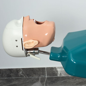 C1 denti dentali modello di simulazione modello di testa odontoiatria manichino testa fantasma Sennior con Torso per insegnamento orale dentale <span class=keywords><strong>Phantom</strong></span> - Product Image 6