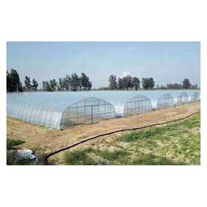 <span class=keywords><strong>Serre</strong></span> pour légumes <span class=keywords><strong>Serre</strong></span> verte cerceau - Product Image 1