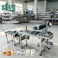 Machine de marquage laser CO2 pour la traçabilité numérique par lots, avec pochette souple anti-empilage et inspection visuelle automatique des défauts pour le rejet