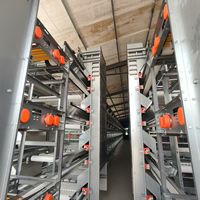 Vente flash à la ferme : Cage d'élevage de poules pondeuses à 4 étages, type H, système de collecte automatique des œufs