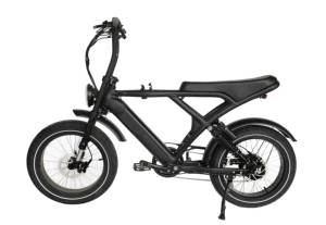 Zhejiang baoguilai 48โวลต์52โวลต์ช่วงแบตเตอรี่ลิเธียม fatbike กรวดทรายไฟฟ้าจักรยานล็อคจักรยานสามล้อจักรยาน - Product Image 2