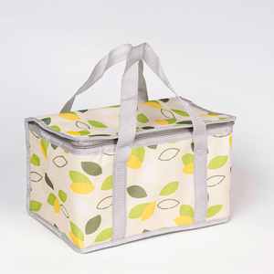 Sac isotherme de pique-nique pas cher, grande taille, petite taille, sac de pique-nique, glacière à bière, léger, camping, extérieur, panier de pique-nique pliable - Product Image 5