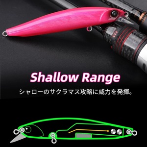 Señuelo Minnow 90SS 10.8g de Hundimiento Lento para Pesca de Lubina en Aguas Medias - Product Image 5