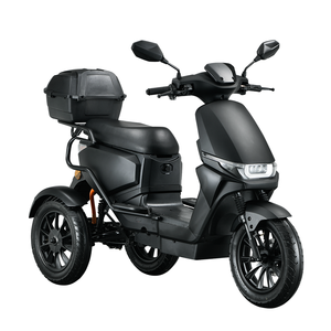 Scooter Eléctrico de Tres Ruedas de Aleación de Aluminio Euro5 EEC Coc, Motor sin Escobillas de 1000W, Batería de Litio, Control Remoto - Product Image 2