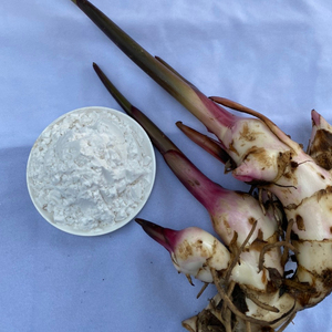 แป้งอาร์โรวูท คุณภาพสูง แป้งธรรมชาติ 850 บียู ขั้นต่ำ 0.2% สูงสุด 13.5% สูงสุด 20 กก. 25 กก. 5-7 สีขาว 100% บรรจุถุง, กล่อง - Product Image 1