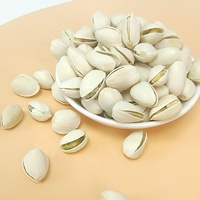 Hot Sale Factory Direct Sell Price Pistachio Nuts Salted Roasted Pistachios Raw Bulk Pistachios for Snack Food