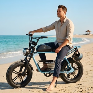 Bicicleta Eléctrica Beach Cruiser con Neumáticos Anchos Antideslizantes y Diseño Impermeable para Vacaciones en la Playa y Paseos por la Arena - Product Image 4