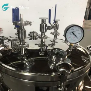 Labor-Druckbehälter-Reaktions kessel aus rostfreiem Stahl