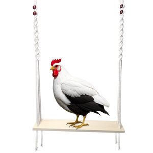 Juguete Columpio <span class=keywords><strong>para</strong></span> Gallinas <span class=keywords><strong>de</strong></span> Granja, Juguete <span class=keywords><strong>de</strong></span> Enriquecimiento <span class=keywords><strong>para</strong></span> Gallinas y <span class=keywords><strong>Gallos</strong></span>, Suministros <span class=keywords><strong>para</strong></span> Mascotas al por Mayor - Product Image 2