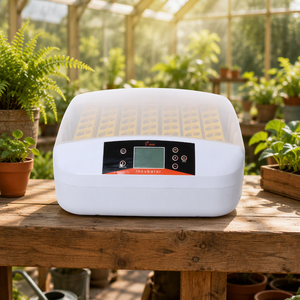 Incubadora de Huevos de Gallina Mini 56, Precio Promocional HHD, Totalmente Automática para <span class=keywords><strong>Pollitos</strong></span> con Función de Prueba LED - Product Image 1