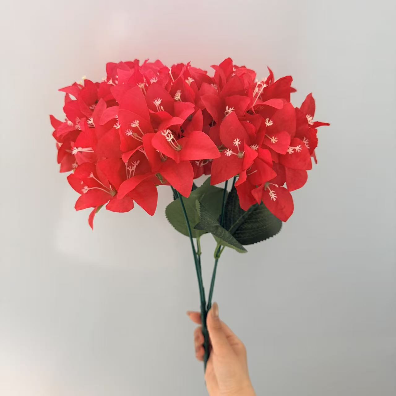 Rouge