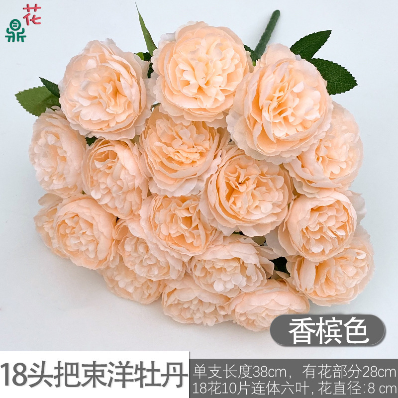 ดอกโบตั๋น 18 หัว สีแชมเปญ