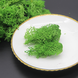 <span class=keywords><strong>Verde</strong></span> scuro stabilizzato conserve di moss per società di progettazione di decorazione della parete - Product Image 2