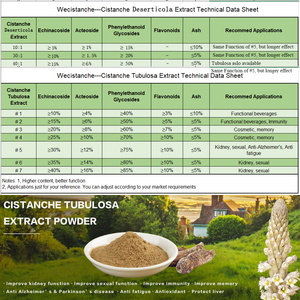 30% Echinacoside 12% extrait d'acteoside Cistanche Tubulosa suppléments naturels pour boissons énergétiques - Product Image 5
