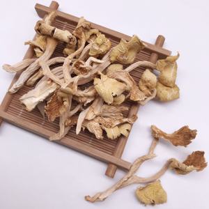 12021 Ji You Jun Cogumelos Amarelos Desidratados Naturais de Alta Qualidade Cantharellus Cibarius Secas Chanterelle Processamento Cru AD - Product Image 3