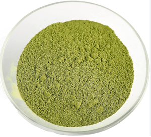 Поставка высококачественного порошка листьев тутового дерева, бесплатный образец, Лучшая цена, порошок тутового дерева/экстракт для продажи - Product Image 2