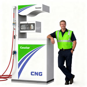 Dispensador <span class=keywords><strong>de</strong></span> GNC <span class=keywords><strong>de</strong></span> Alta Presión Censtar para Autobuses y Taxis, Equipo <span class=keywords><strong>de</strong></span> <span class=keywords><strong>Estación</strong></span> <span class=keywords><strong>de</strong></span> Llenado <span class=keywords><strong>de</strong></span> Gas Natural Comprimido con Manguera Doble - Product Image 1