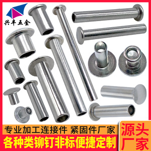 Rivets en acier inoxydable de 1,2 à 6,5 mm de diamètre, sur mesure, non standard, semi-creux, pour usage industriel - Product Image 3